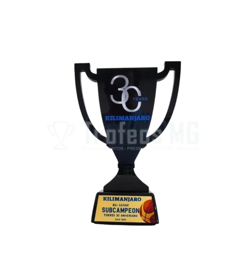 Reconocimiento En Acrilico Negro