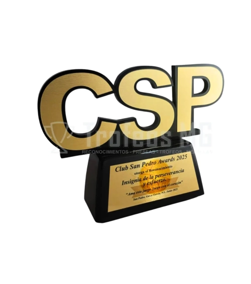 Reconocimiento De Acrilico