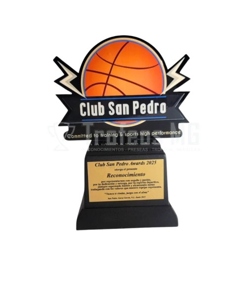 Reconocimiento De Acrilico