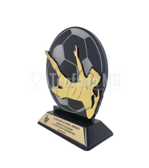 Reconocimiento En Acrilico