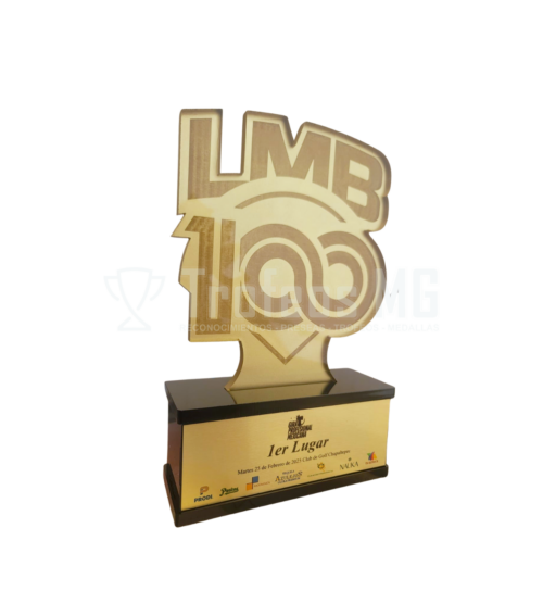 Reconocimiento En Placa De Acrilico