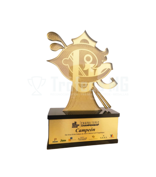 Reconocimiento En Placa De Acrilico