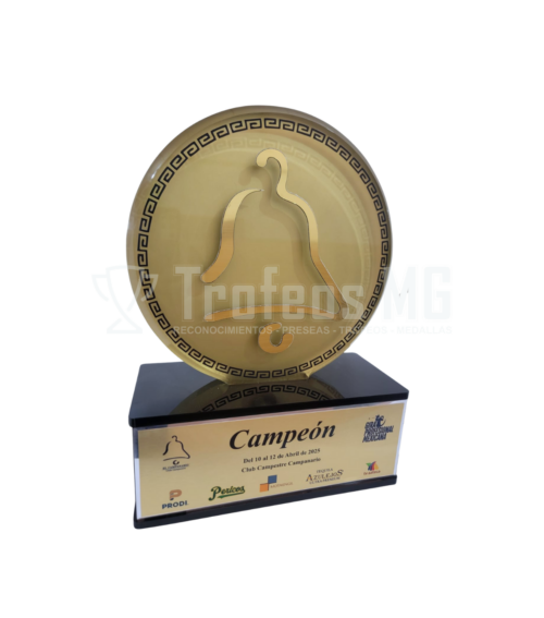 Trofeo En Placa De Acrílico Personalizado Con Uv