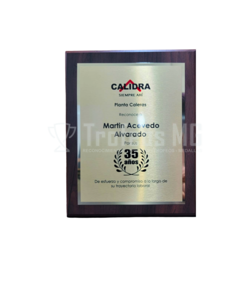 Reconocimiento En Madera Con Placa De Aluminio